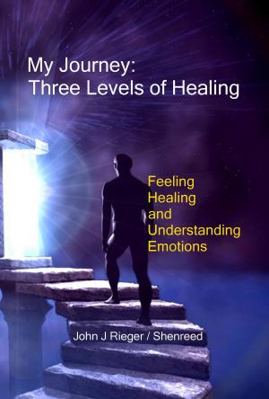 Cover of the book My Journey: Three Levels of Healing – Feeling, Healing, and Understanding Emotions by Victoria Lorient-Faibish