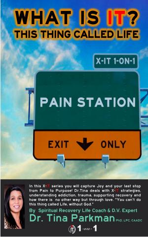 Book cover of X-IT Pain Station