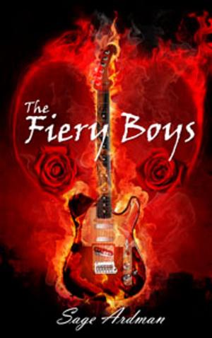 Cover of the book The Fiery Boys by Roberta Ann Roque