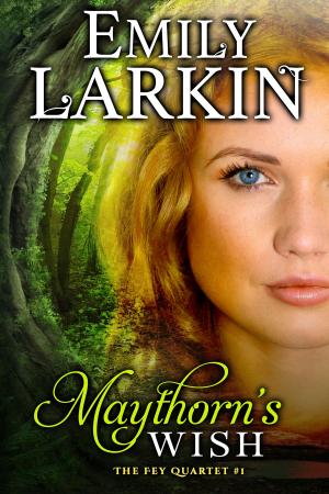 bigCover of the book Maythorn's Wish by 