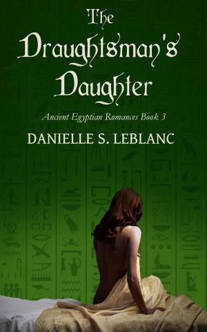 Book cover of The Draughtsman's Daughter