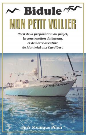 Cover of the book Bidule, mon petit voilier by Mattis Lühmann