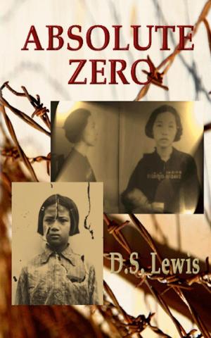 Cover of the book Absolute Zero by JERRY OSTER