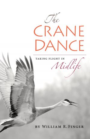 Cover of the book The Crane Dance: Taking Flight in Midlife by Davì Daniele