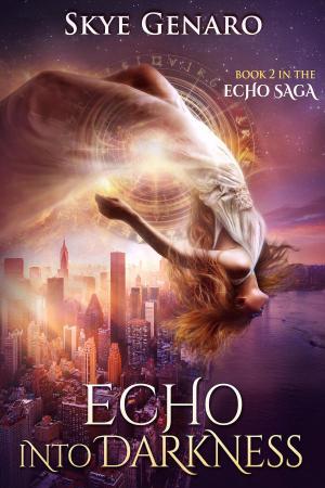 Cover of the book Echo Into Darkness by Brighid