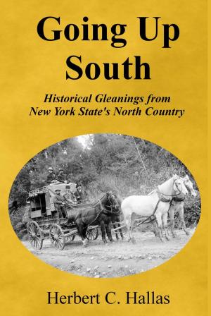 Cover of the book Going Up South: Historical Gleanings from New York State’s North Country by David Lavender