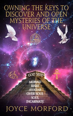 bigCover of the book Owning The Keys To Discover And Open Mysteries Of The Universe by 