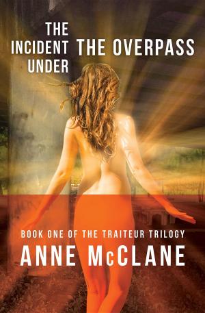 bigCover of the book The Incident Under the Overpass by 
