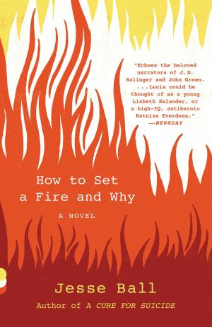 Cover of the book How to Set a Fire and Why by James Deetz