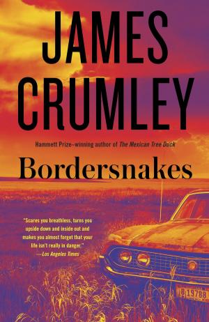 Cover of the book Bordersnakes by Brett Halliday