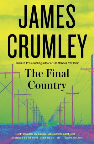Cover of the book The Final Country by James Salter