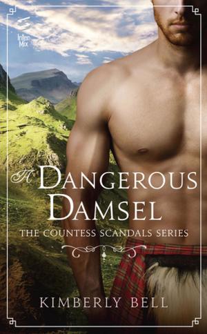 Cover of the book A Dangerous Damsel by James Churchill