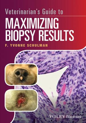 Cover of the book Veterinarian's Guide to Maximizing Biopsy Results by Kirk A. Gray, John J. Paschkewitz