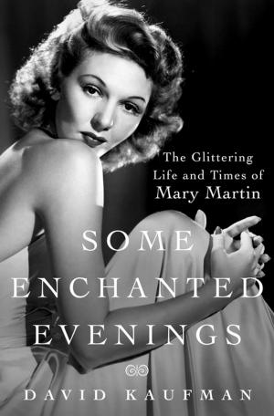 Cover of the book Some Enchanted Evenings by Jonathan Gold