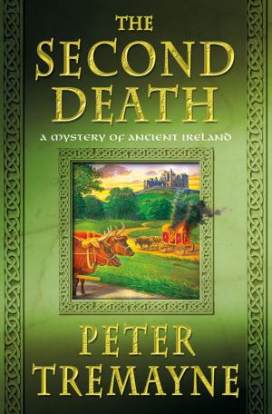 Cover of the book The Second Death by Edward Lucas