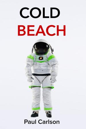 Book cover of Cold Beach