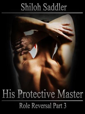 Book cover of His Protective Master: Role Reversal Part 3