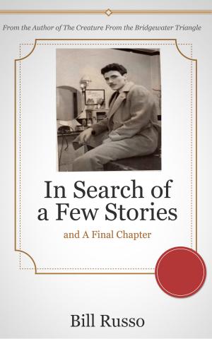 Book cover of In Search of a Few Stories and a Final Chapter