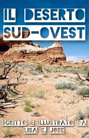Book cover of Il Deserto Sud-Ovest