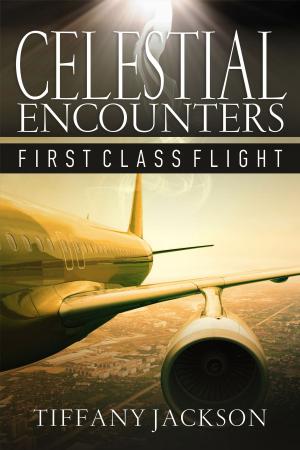 Book cover of Celestial Encounters: First Class Flight