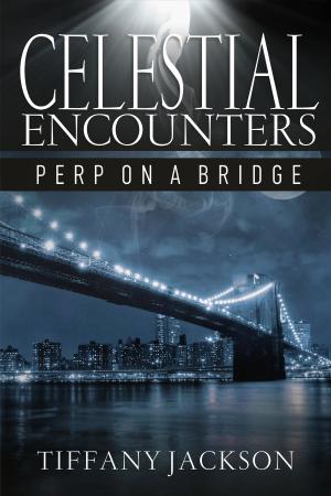 Cover of the book Celestial Encounters: Perp On A Bridge by Iain Levison