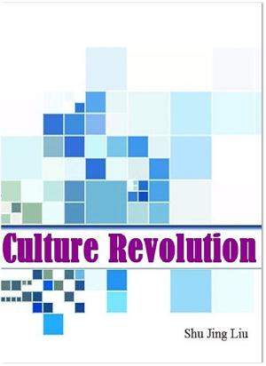 Book cover of Culture Revolution