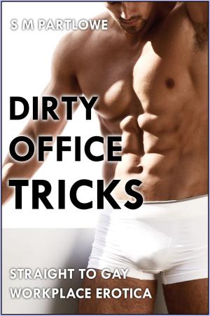 Cover of Dirty Office Tricks: Straight to Gay Workplace Erotica