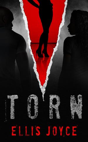 Cover of the book Torn by Karen Cantwell