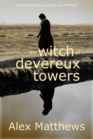 Cover of the book The Witch of Devereux Towers by E. J. Squires