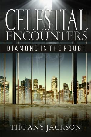 Book cover of Celestial Encounters: Diamond in the Rough