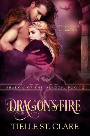 Cover of the book Dragon's Fire by Samantha Johns
