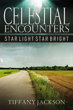 Book cover of Celestial Encounters: Star Light, Star Bright