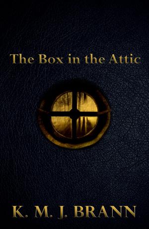 Book cover of The Box in the Attic