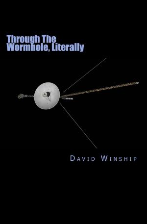 Cover of the book Through The Wormhole, Literally by William R. Taylor