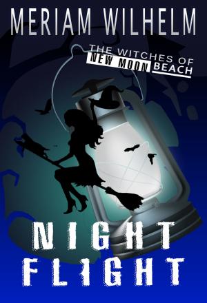 Cover of the book Night Flight by Mary Tate Engels