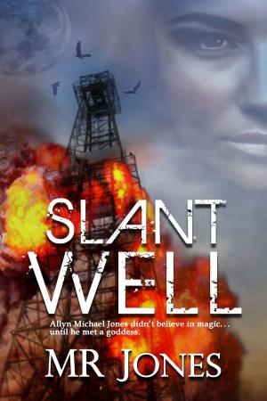 Cover of the book Slant Well by Dan Dillard