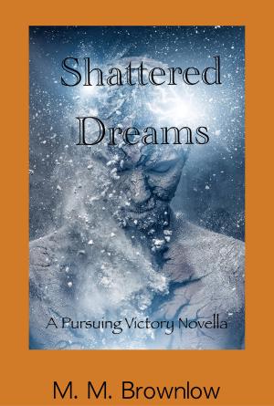 Cover of the book Shattered Dreams by zaid qassim