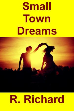 Book cover of Small Town Dreams