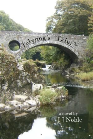 bigCover of the book Telynog's Tail by 