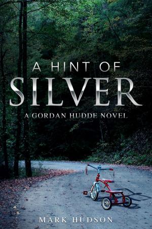 Cover of the book A Hint of Silver by Stacy Dittrich