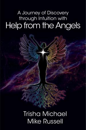 Cover of A Journey of Discovery through Intuition with Help from the Angels