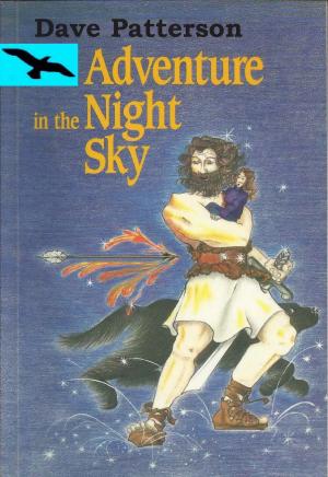 Cover of Adventure in the Night Sky