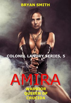 Book cover of Amira: Warrior Queen Of Crucida (Colonel Landry Series, 5)