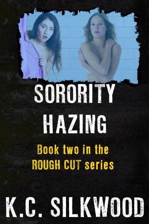Cover of the book Sorority Hazing by Heidi Wessman Kneale