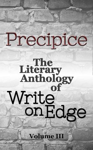Cover of Precipice: The Literary Anthology of Write on Edge, Volume 3