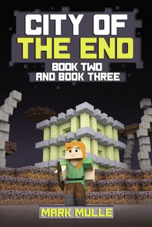 Cover of the book City of the End, Book 2 and Book 3 by Phillip E. Jones