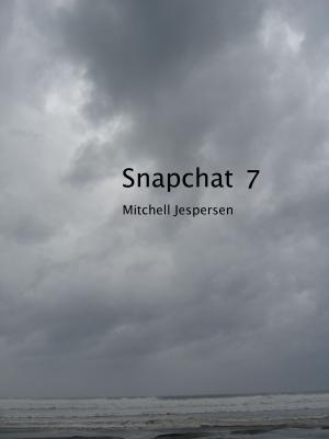 Book cover of Snapchat 7