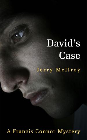 Cover of the book David's Case by Monica J. O'Rourke