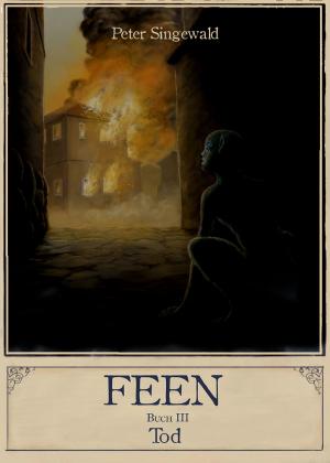 bigCover of the book Feen Buch 3: Tod by 