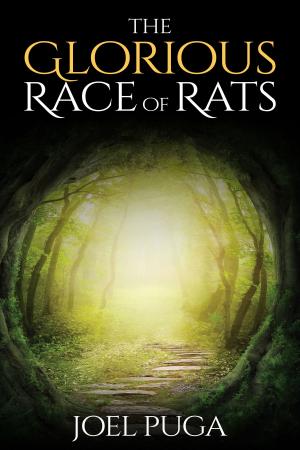 Book cover of The Glorious Race of Rats
